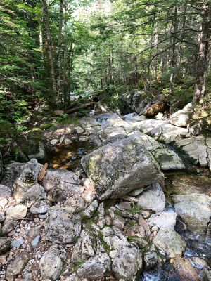 5E75CC9D-79C1-425E-84D3-B4FDE5FFEBDB
