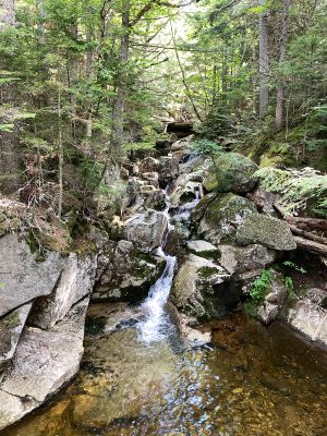 6AFCBF69-E8F9-416D-8473-4B3856C9A598
